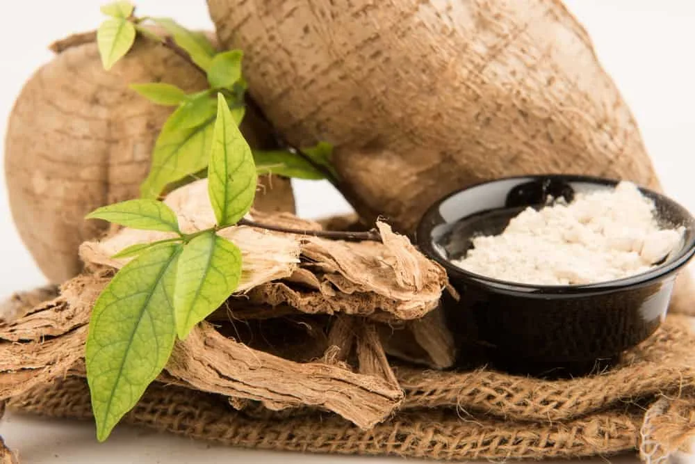 Tinh bột sắn dây là một dạng tinh bột được chiết xuất từ củ của cây sắn dây (Dioscorea opposita), một loại thực vật thuộc họ Dioscoreaceae. Cây sắn dây thường được trồng ở các khu vực nhiệt đới và ôn đới.