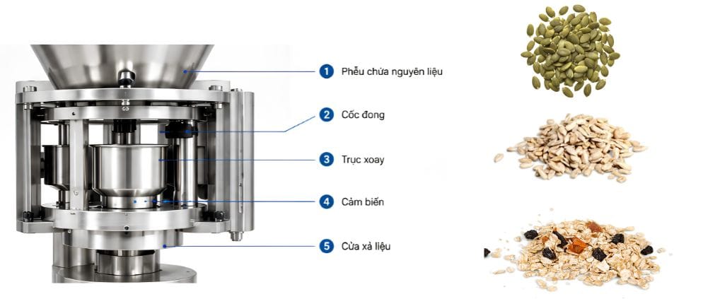 Hệ thống định lượng cốc đong trong máy đóng gói hạt